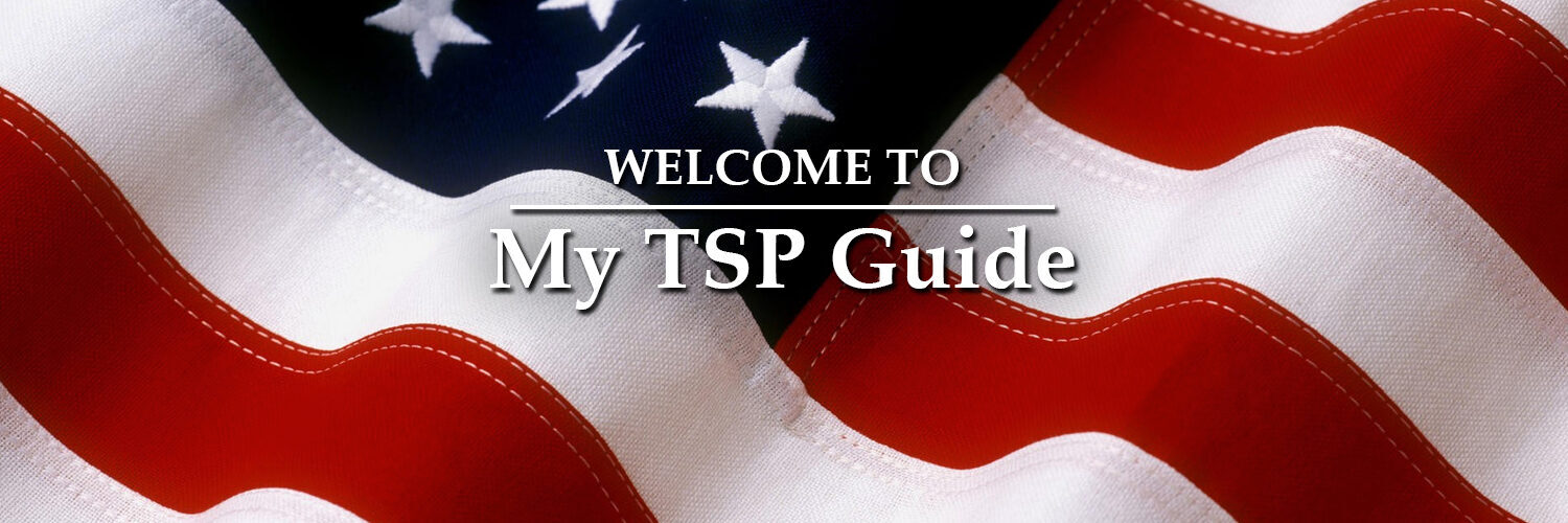 Welcome to My TSP Guide